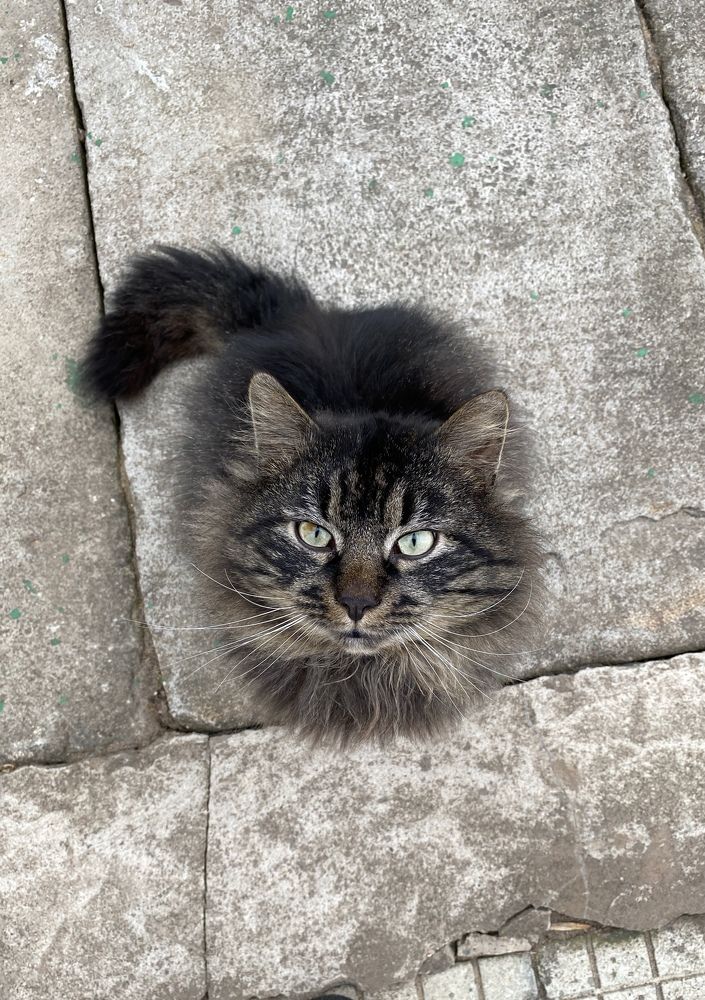 Photograph by Kravchenko Elena