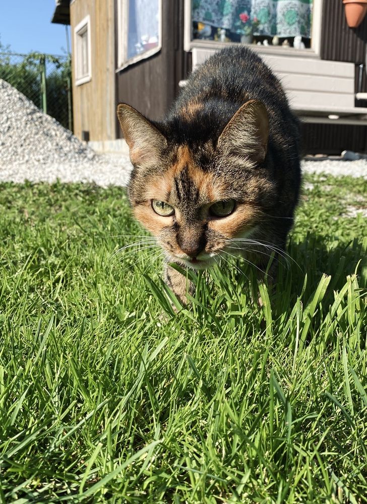 Photograph by Kravchenko Elena