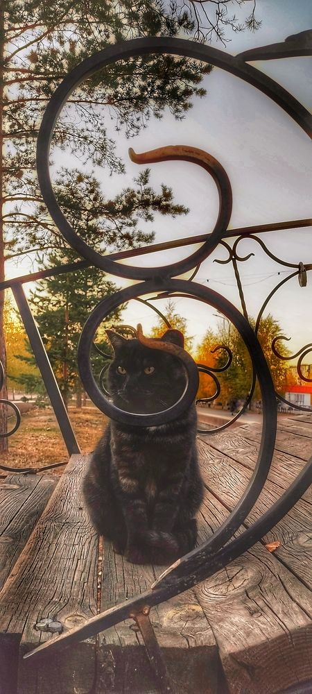 Photograph by Валентин Волк