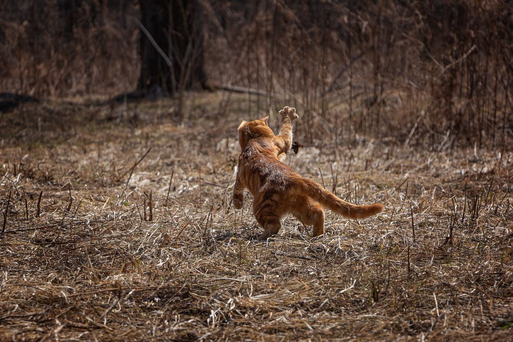 Photograph by Ольга Оверко