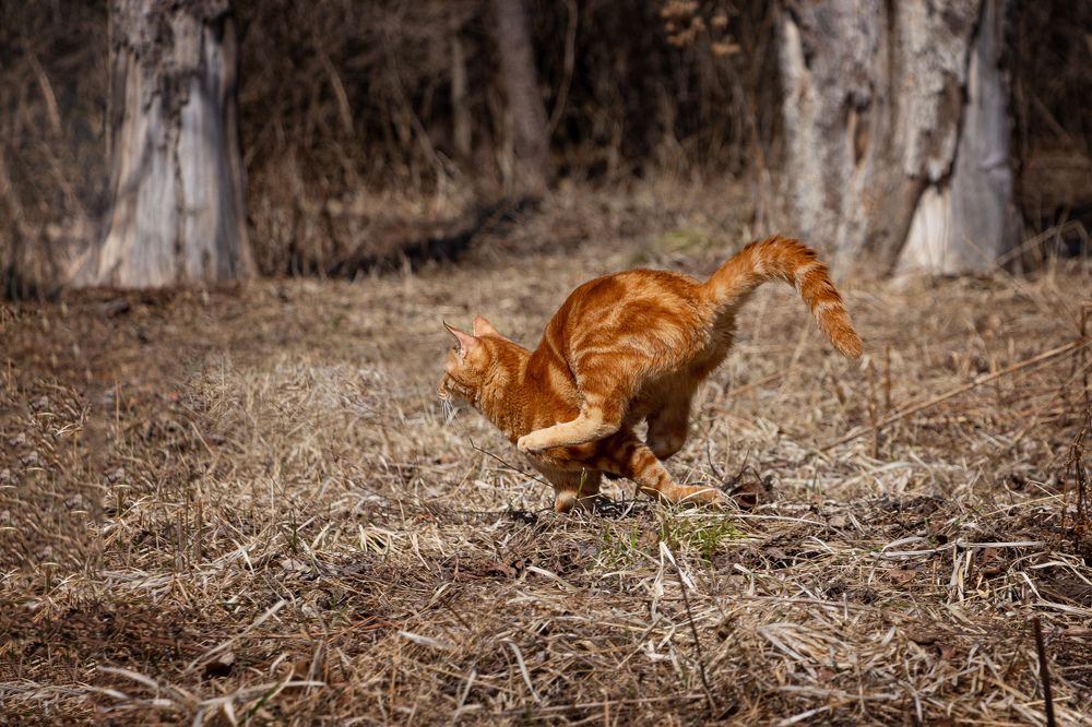 Photograph by Ольга Оверко