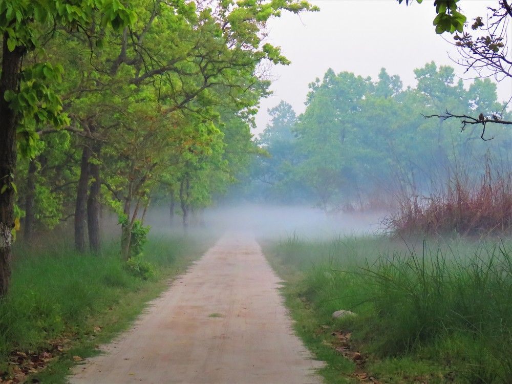 Photograph by ANISH BISWAS