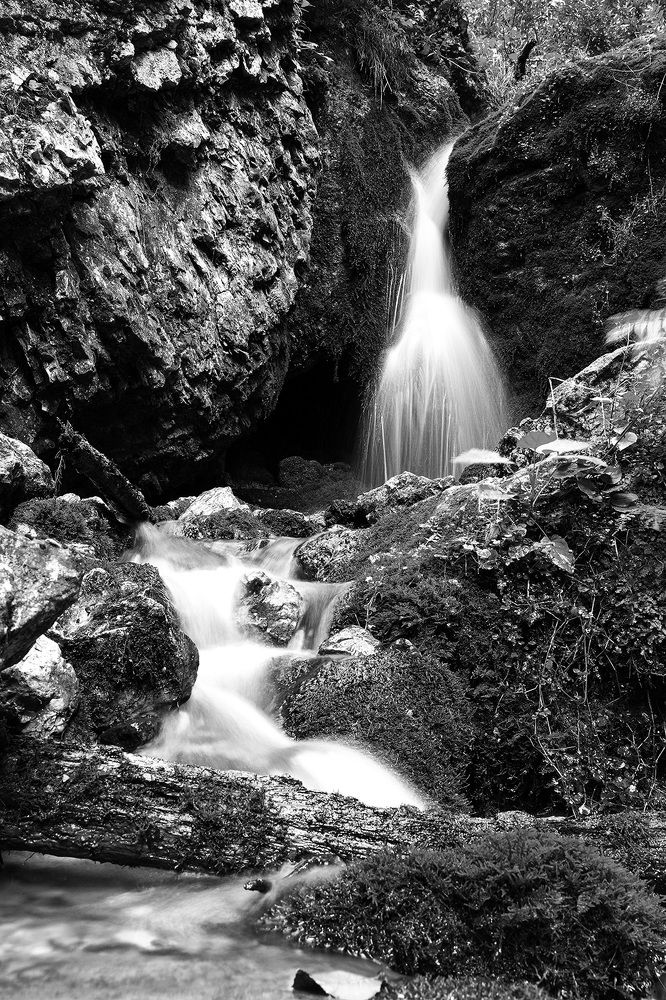 Photograph by Владимир Венедиктов