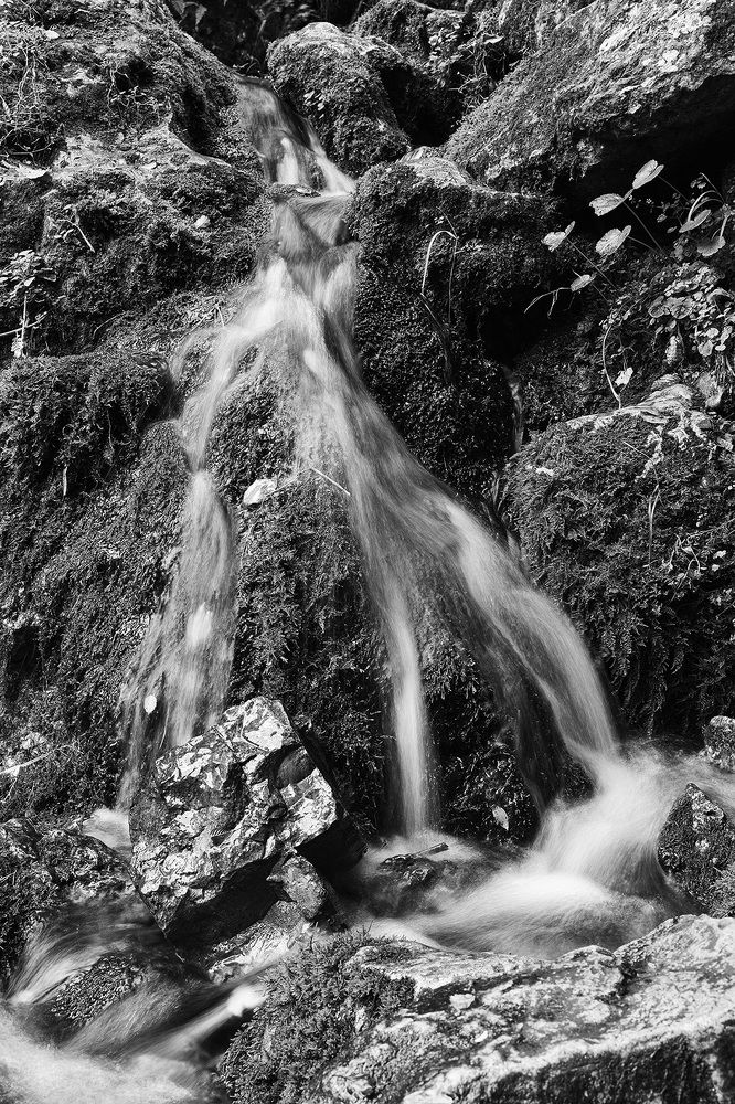 Photograph by Владимир Венедиктов