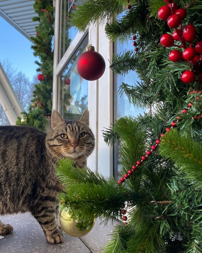 Photograph by Светлана Коган