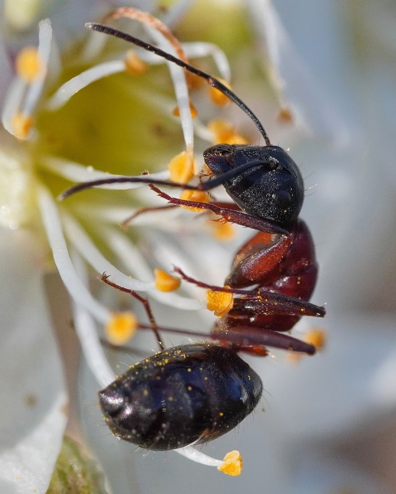 Photograph by Высотских Владимир