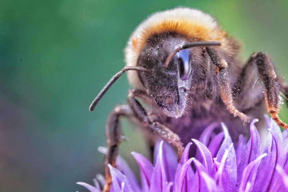Photograph by Высотских Владимир