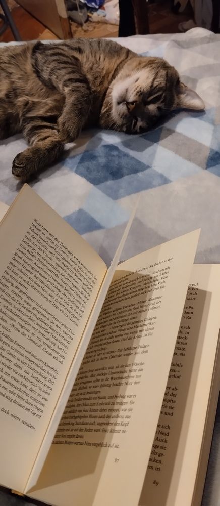 Фотография автора Елена Малкова