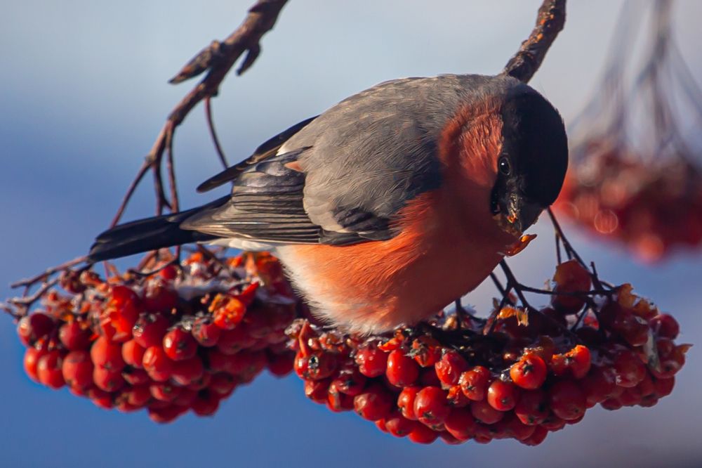 Photograph by Дмитрий Проскурин