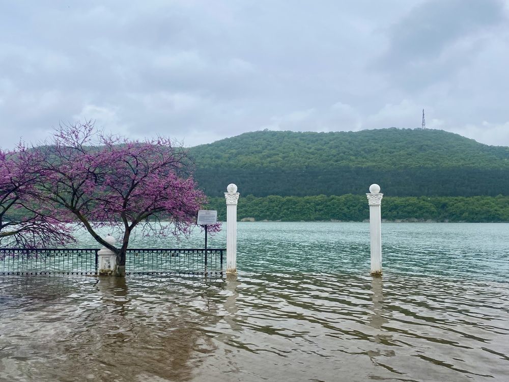 Photograph by Наталья Ковалёва