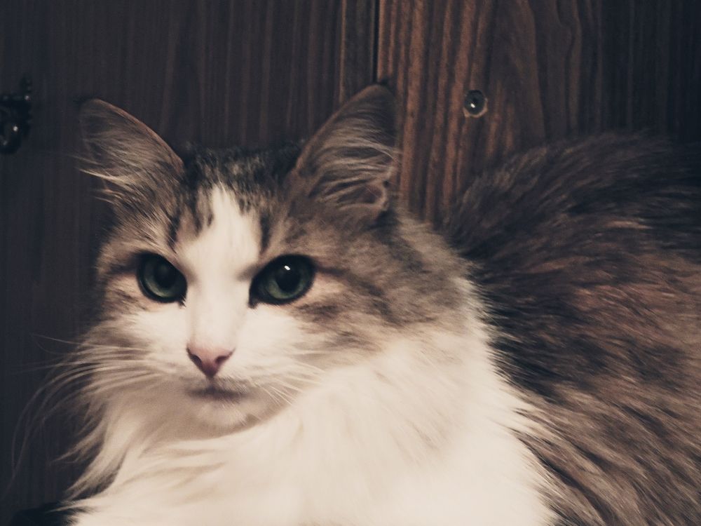 Photograph by Ольга Александрова