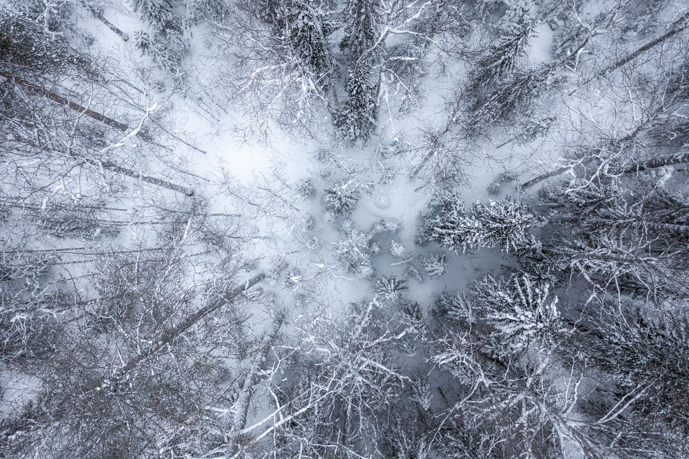 Photograph by Гончаренко Денис