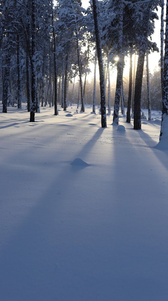 Photograph by Марина Ноговицына