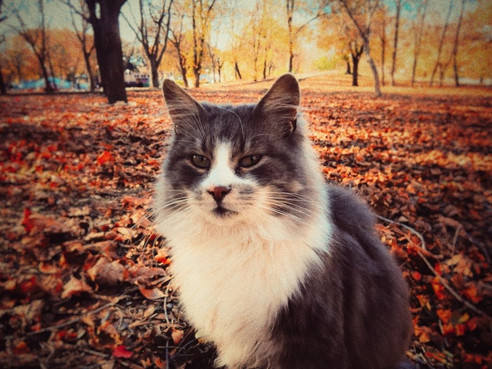 Photograph by Оксана Маракушина