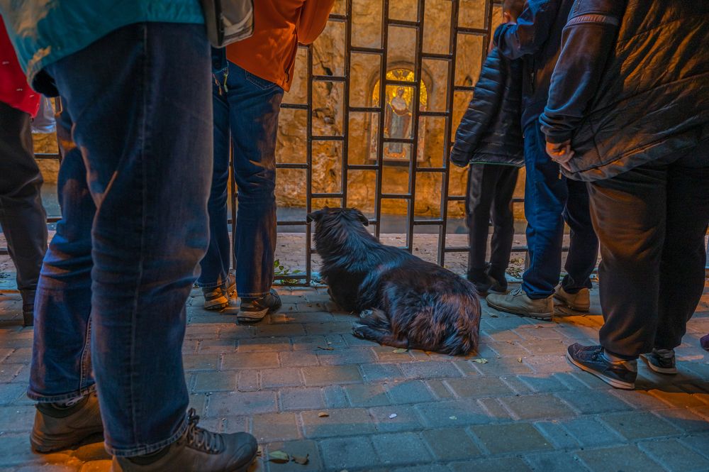 Photograph by Алик