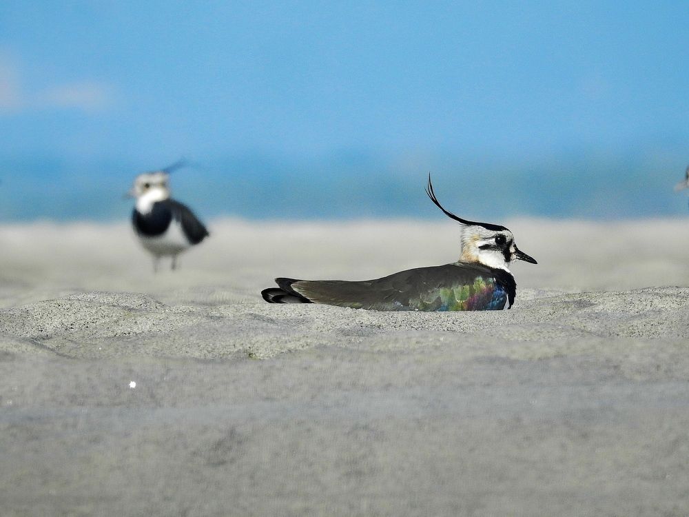 Photograph by Tanusri RoyChowdhury