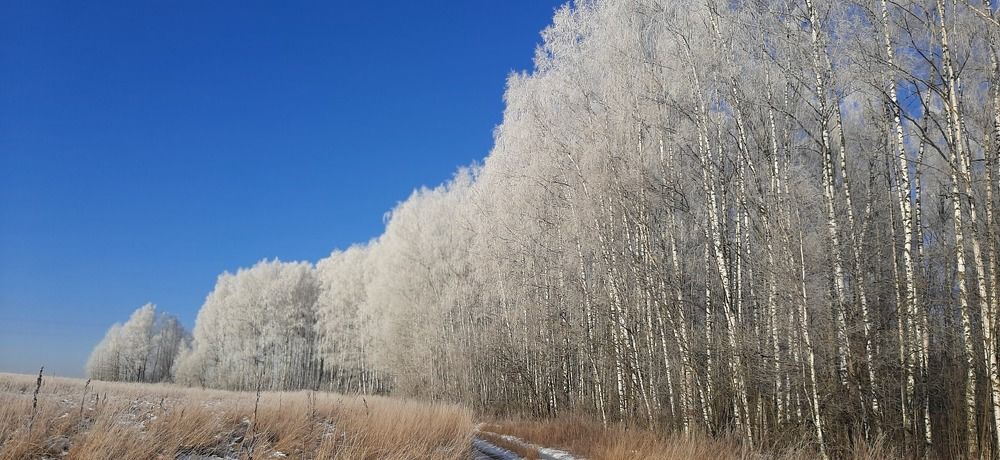 Photograph by Олеся Жакова