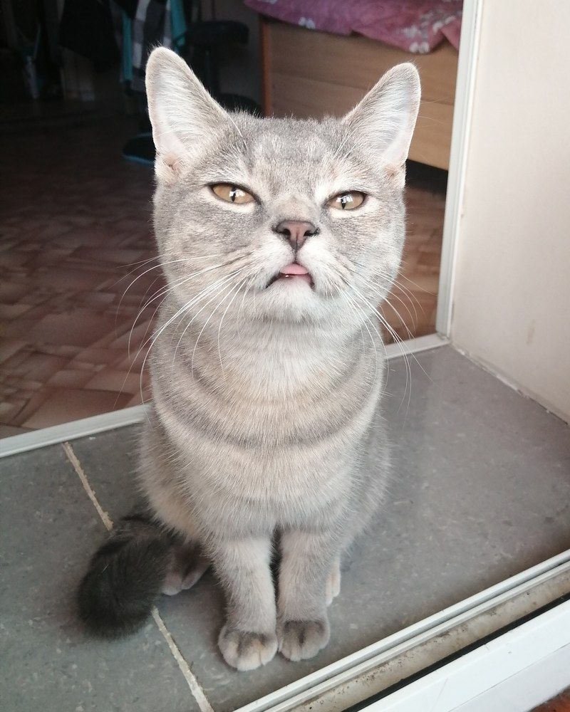 Фотография автора Богатов Андрей