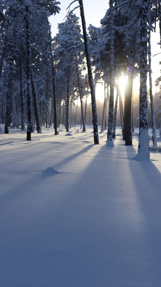 Photograph by Марина Ноговицына