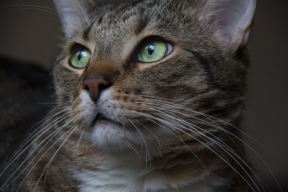 Фотография автора Евгений