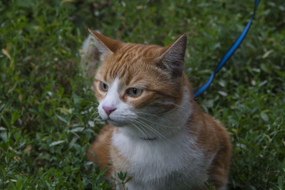 Фотография автора Евгений