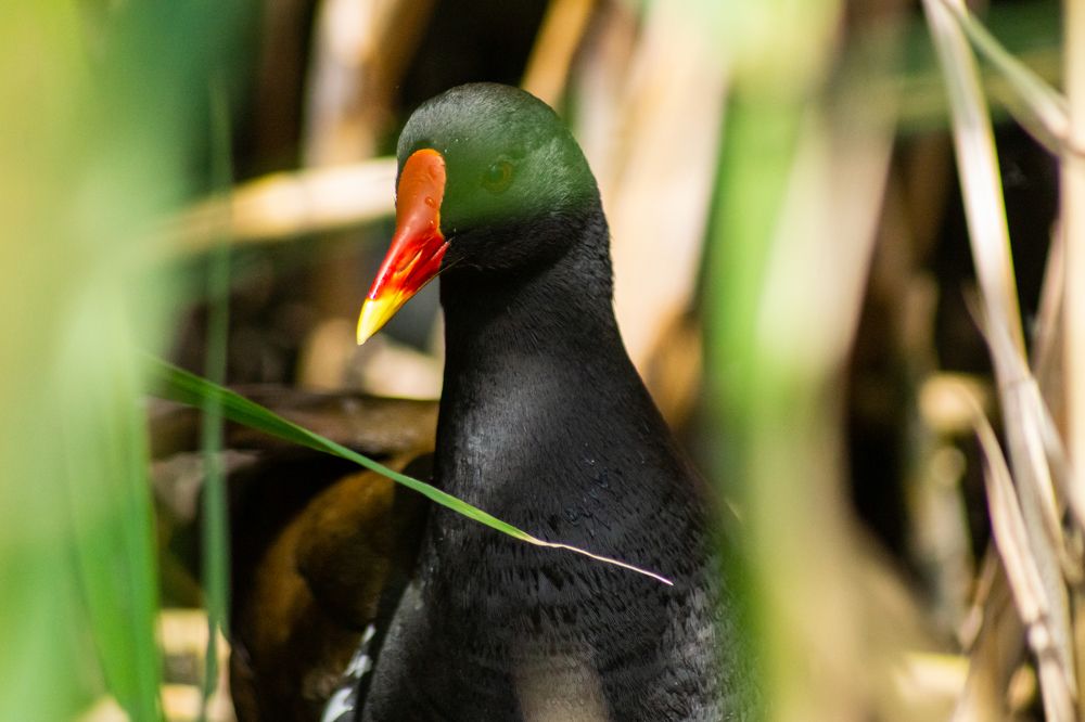 Photograph by Ilyin Evgeny