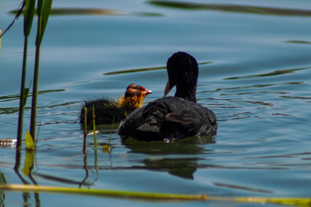 Photograph by Ilyin Evgeny