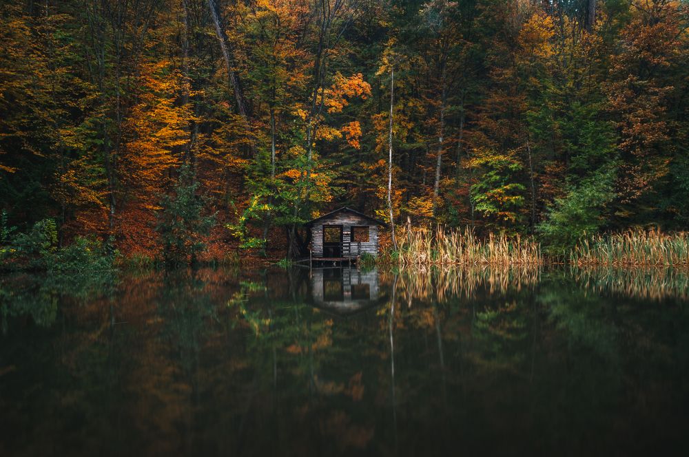 Photograph by Шалыгин Дмитрий