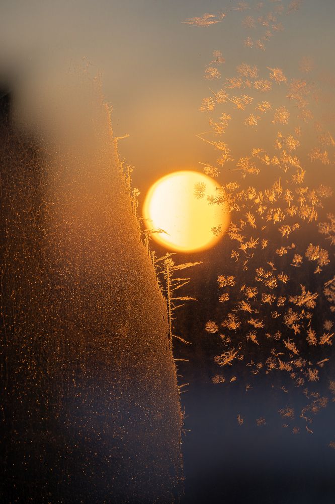 Photograph by Оксана Антипова