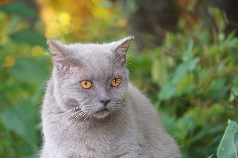 Photograph by Алфия Бугакова