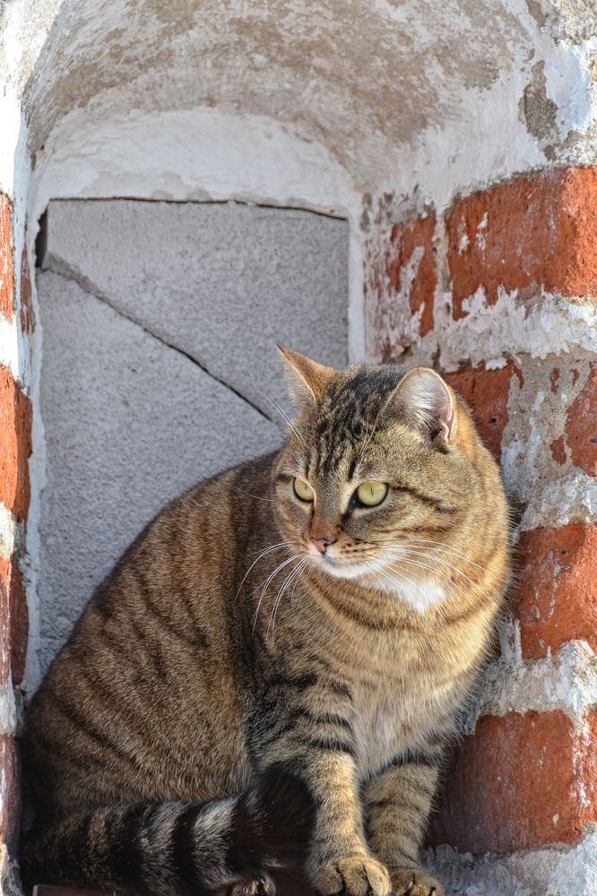 Photograph by Валерий