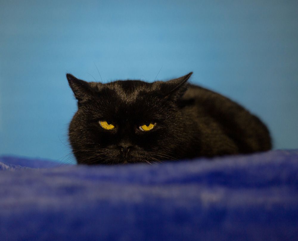 Photograph by Юлия Михайлова