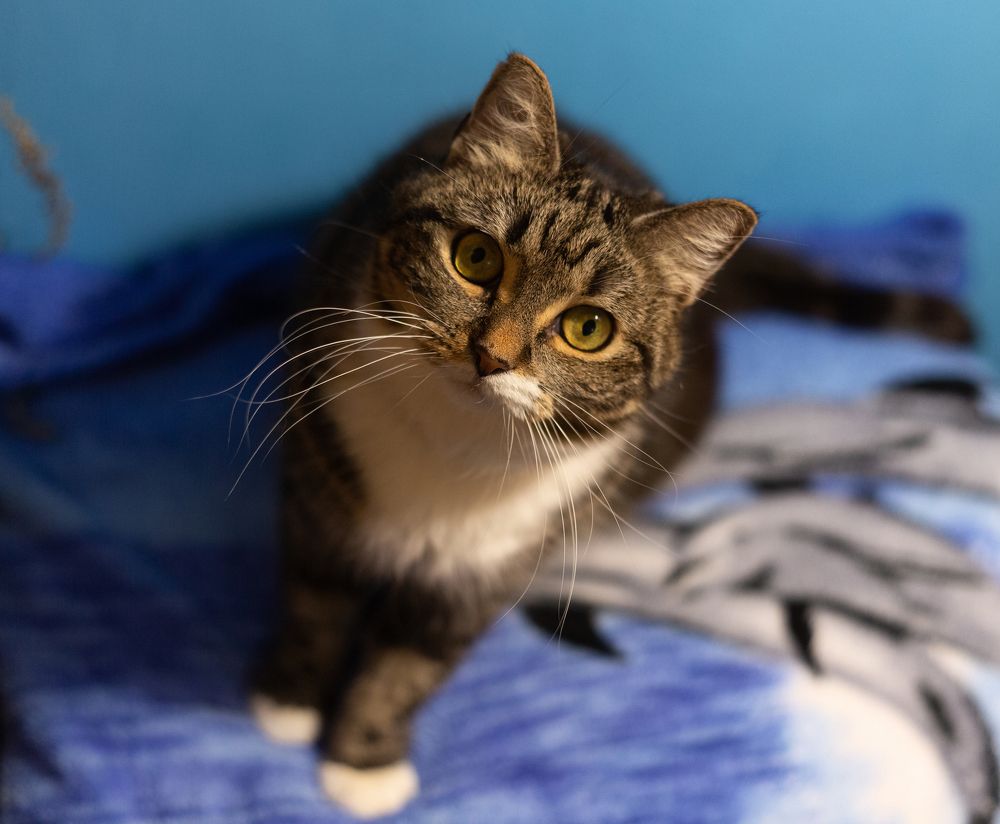 Photograph by Юлия Михайлова