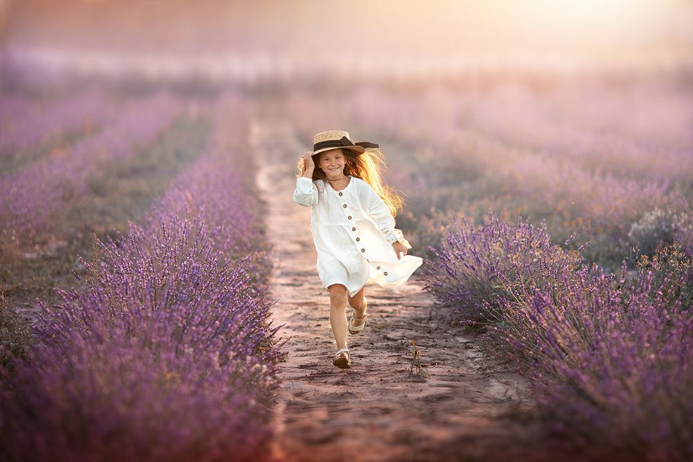 Лавандовый ветер