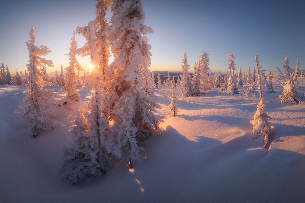 Photograph by Рубан Алена