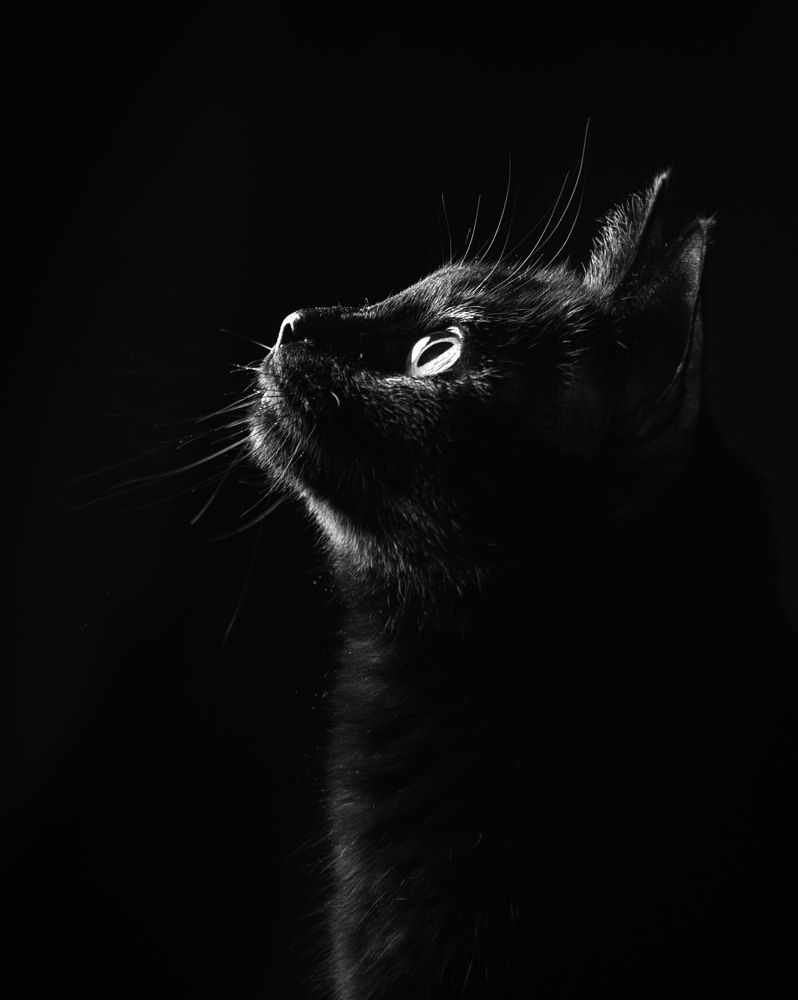 Photograph by Евгения Прокопович