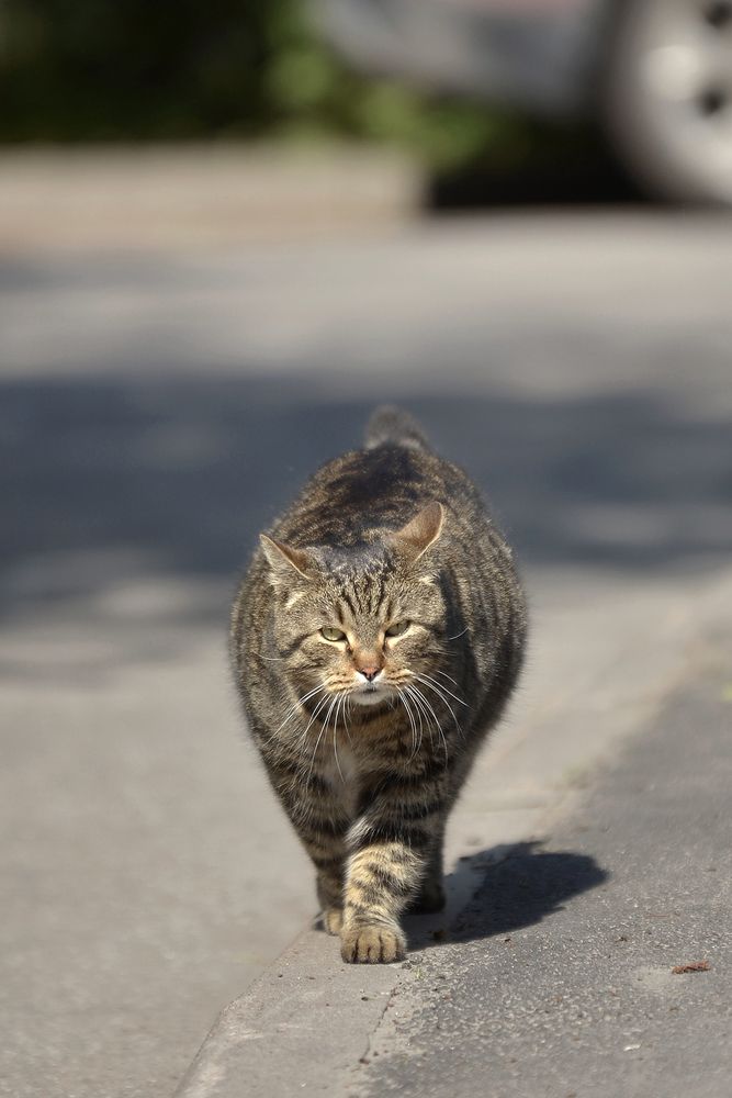 Photograph by Наталья