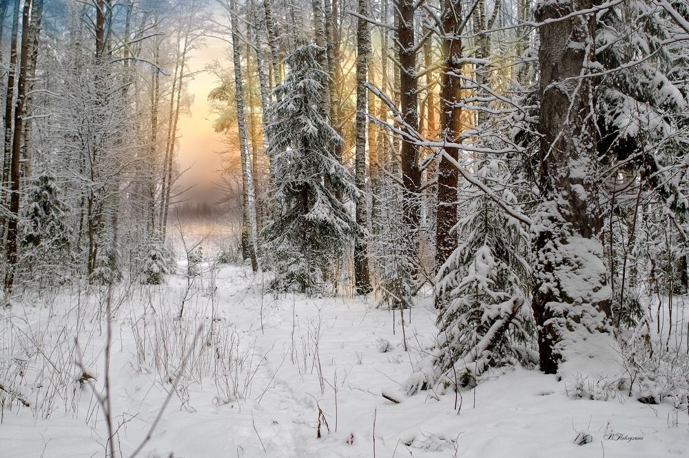 Photograph by Вера  Павлухина