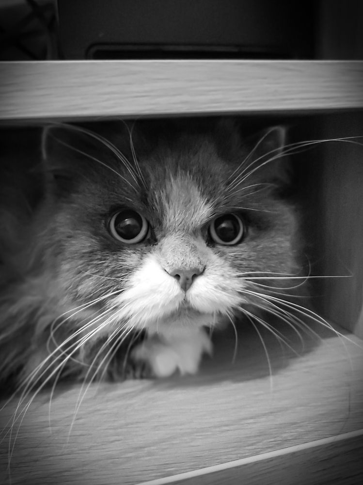 Photograph by Анна Кабиева