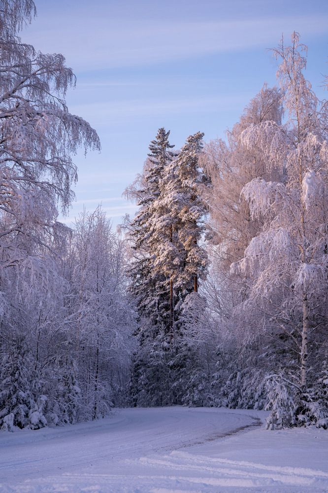 Photograph by helga golubew