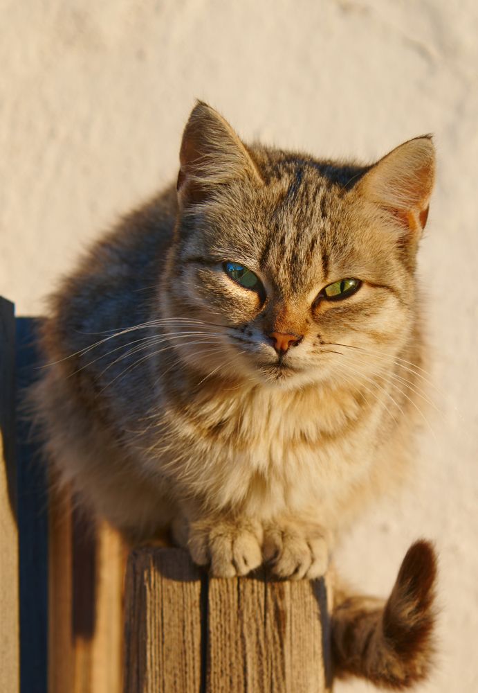 Photograph by Галина Патрушева