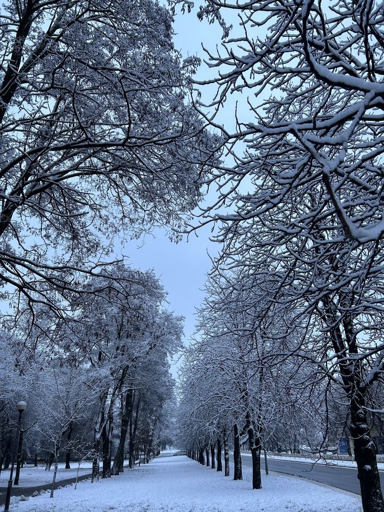 Photograph by Ириша Гайдель