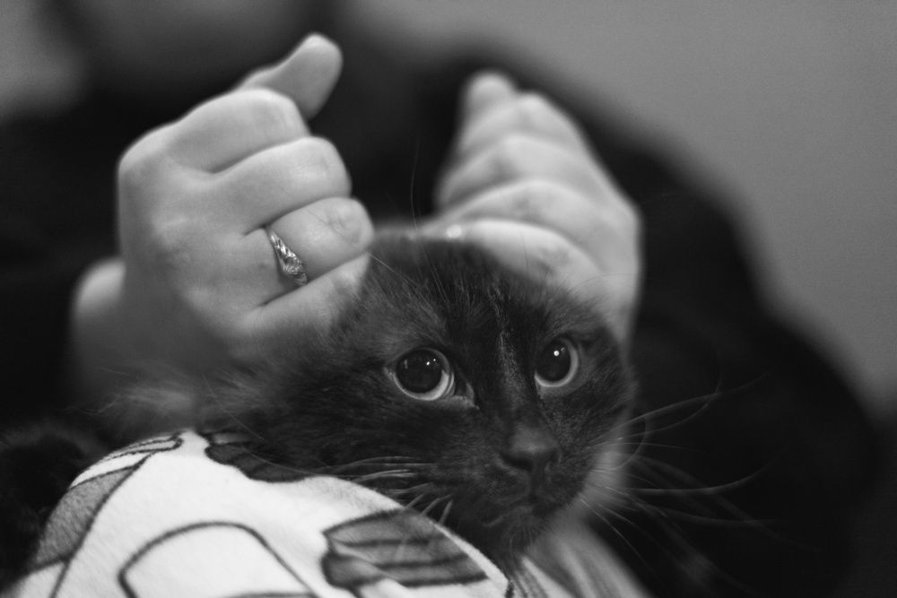 Photograph by Анна Новосельцева