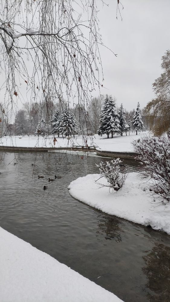 Photograph by Ирина Подлубная
