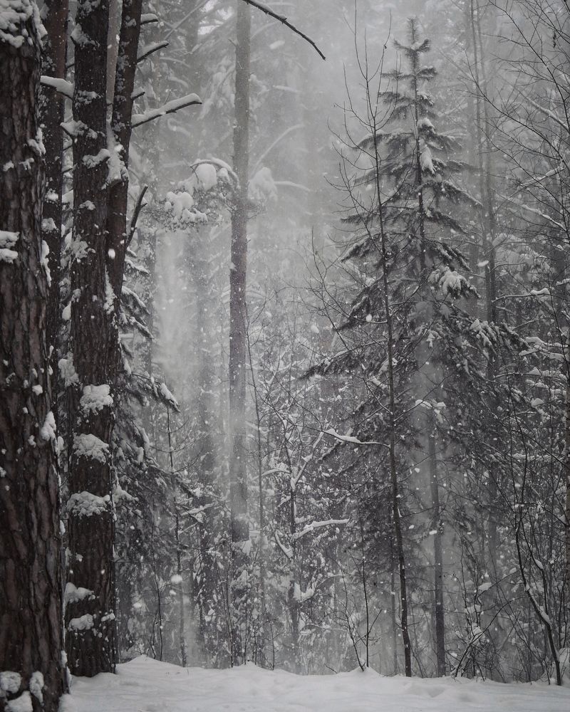 Photograph by Кира Бахвалова