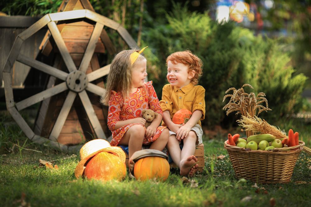 Осенний урожай ))