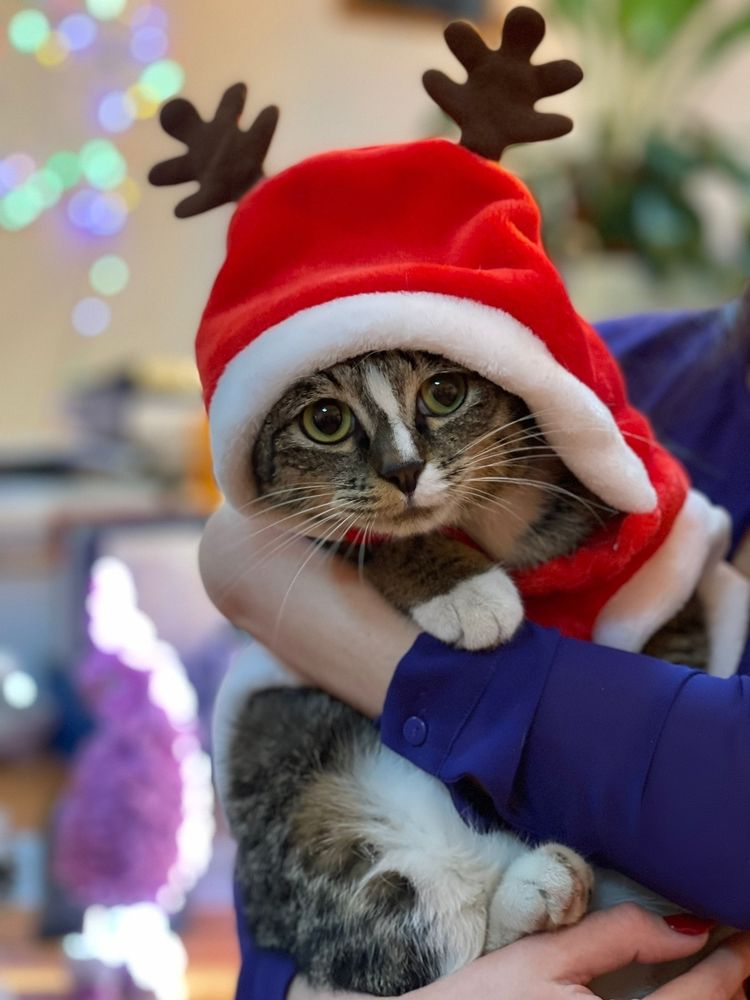 Photograph by Александр М