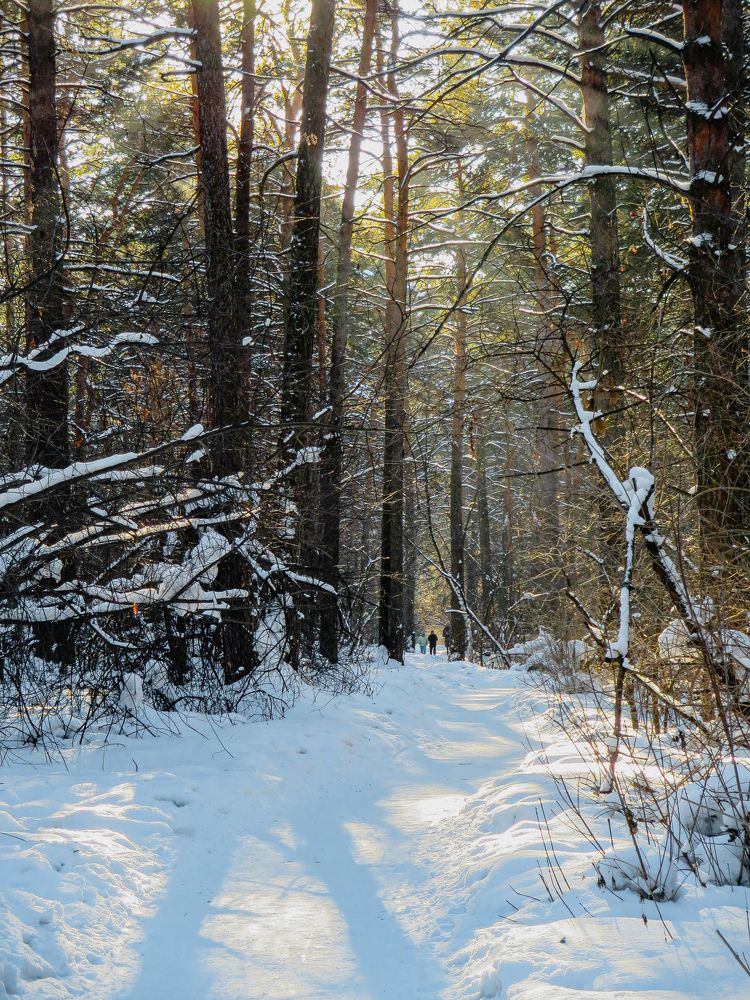 Photograph by Дарья Овсянникова