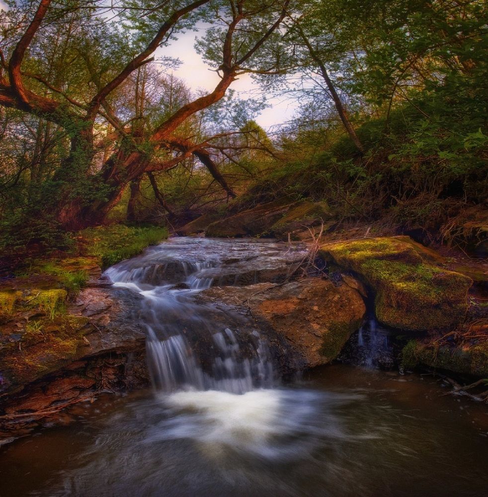 Photograph by Владимир