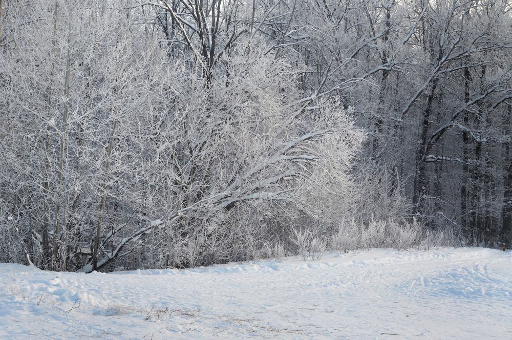 Photograph by Оксана Астрова